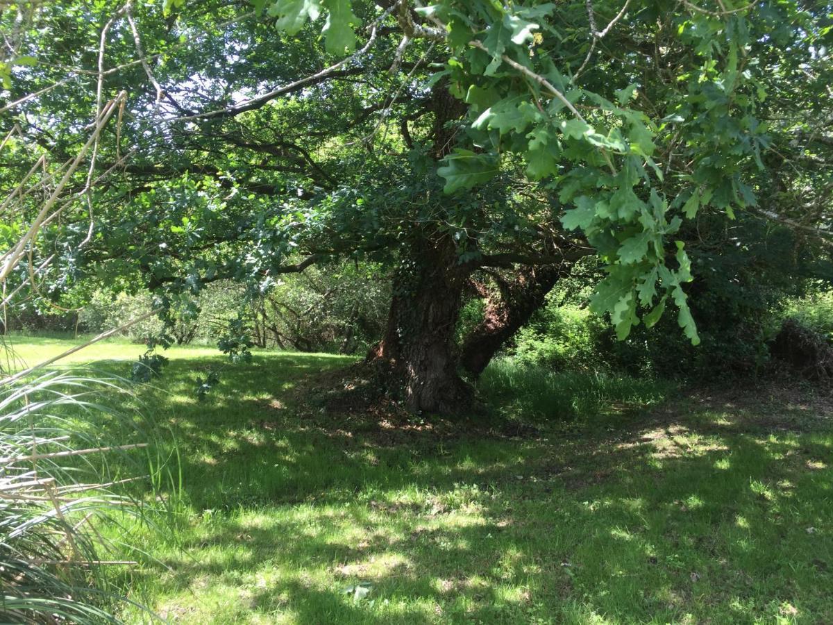 L'Intemporelle Ozourt Luaran gambar